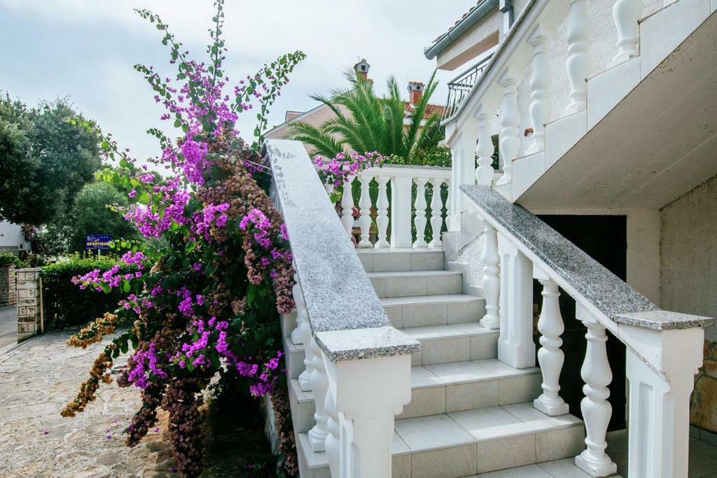 Apartment Nada Petrcane Exterior photo